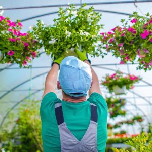 DNK Black Shoes Green LED